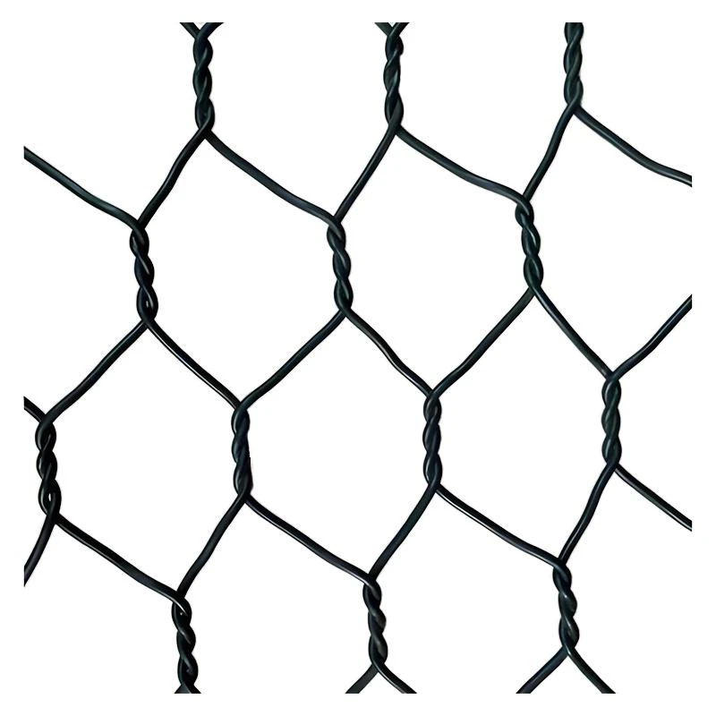 product-800-800